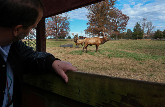 Bellwood elk at Defense Supply Center Richmond