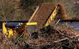Tree recycling at Chesterfield's convenience centers