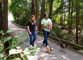 Two women walk with their dogs in a Chesterfield park