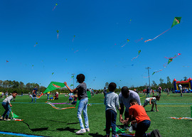 Kite Day
