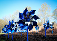 Pinwheels are the symbol for Child Abuse Prevention Month, which takes place annually in April