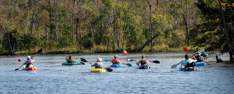 A group of kayakers proceed down the Appomattox River in southern Chesterfield