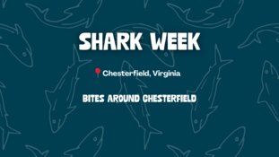 Experience Chesterfield's Shark Week graphic