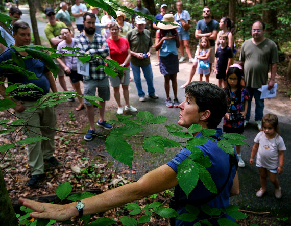 Rockwood Park's 50th anniversary celebration