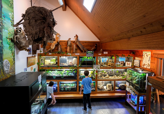 Rockwood Nature Center - National Wildlife Day 2025