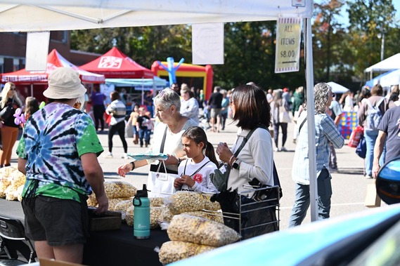 The 2025 Midlothian Village Day Festival takes place Saturday, Oct. 18 