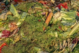Food waste being used in composting to create nutrient-rich soil
