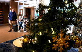 SVE Holiday Campaign