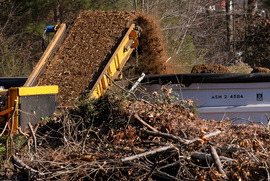 Trees being recycled at a Chesterfield convenience center