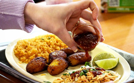 A dinner plate of food at Chesterfield restaurant LaMilpa