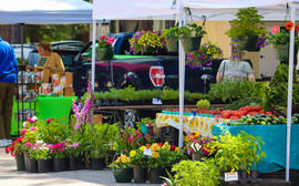 farmers market