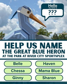 A graphic for the naming contest of the Great Blue Heron at The Park at River City Sportsplex