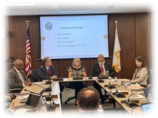 Human Services directors at Board of Supervisors meeting