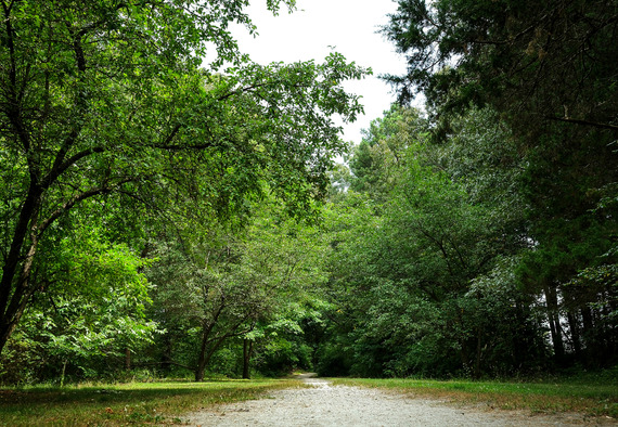Fall Line Trail