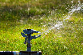 Water pulses from a sprinkler onto grass 