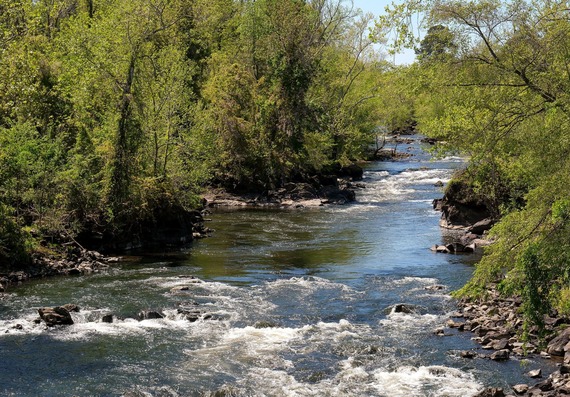 A section of the Appomattox River in Chesterfield 