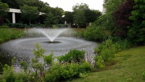 Stormwater pond