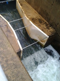 wastewater treatment