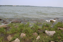 Living shoreline