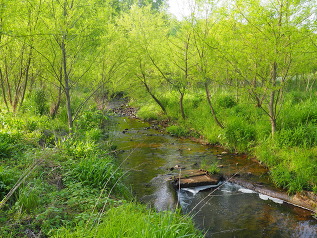 Ivy Creek Charlottesville