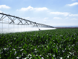 Crop irrigation