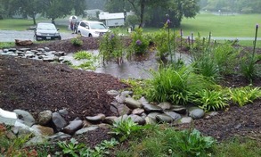 Rain garden