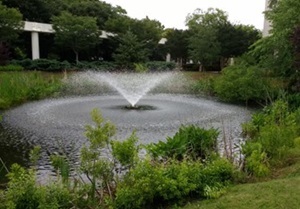 A fountain in Virginia