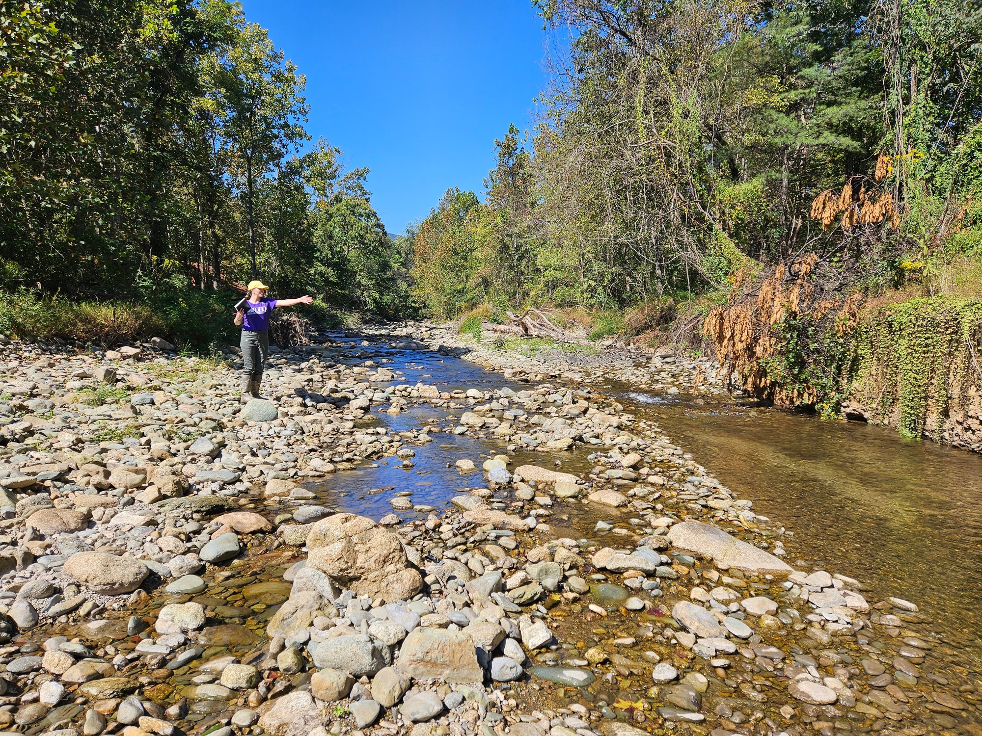 DEQ staff observing a Virginia stream 