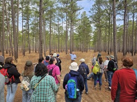 The Nature Conservancy representative discussing longleaf pines with Peninsula Master Naturalist training cohort Photo by Melissa DeHart.