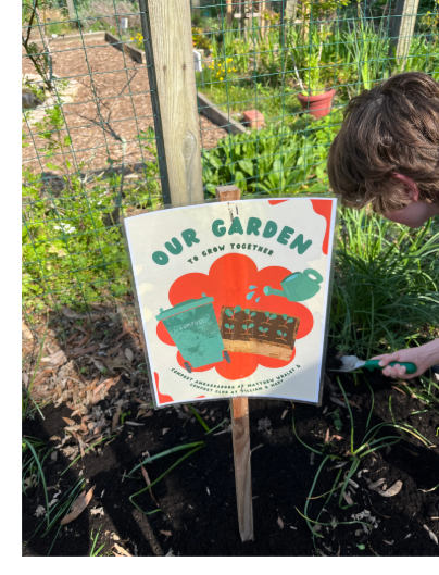 William and Mary Composting Garden. A Sign in the ground reads "Our Garden to grow together"