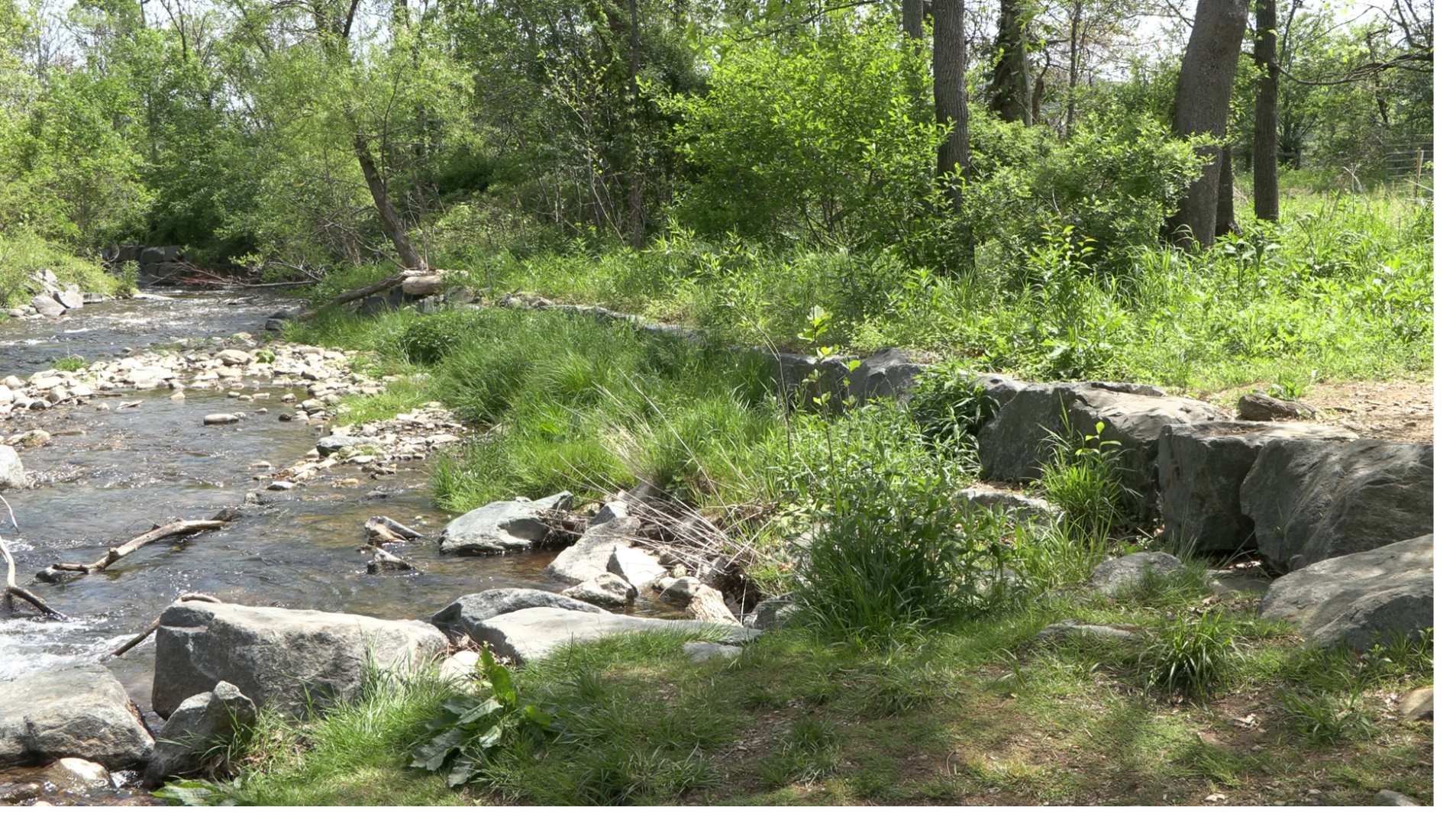 stream restoration project