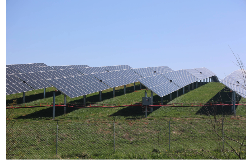 solar panels in a field