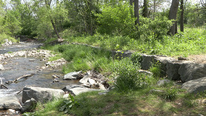 a completed stream restoration project