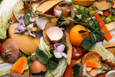 food scraps