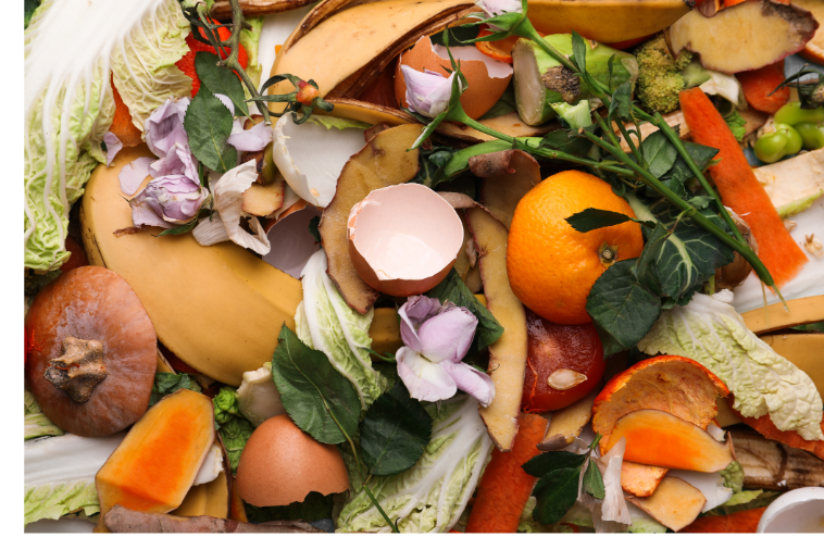 Food scraps