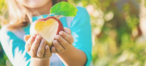 Hunger Action Network