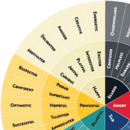 Emotions Wheel 3