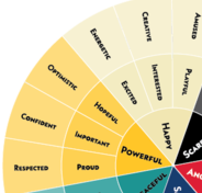 Emotions Wheel 3