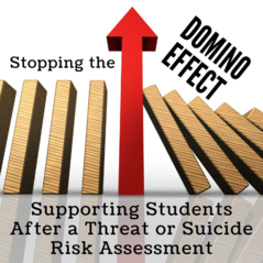 Stopping the Domino Effect: Supporting Students After a Threat or Suicide Assessment