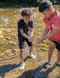 Students exploring a creek