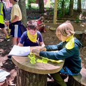 Students doing school work outdoors
