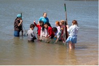 Students exploring in the Chincoteague Bay
