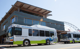 CAT buses in front of building