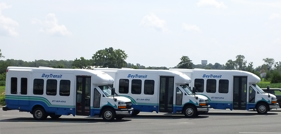 Bay Transit buses