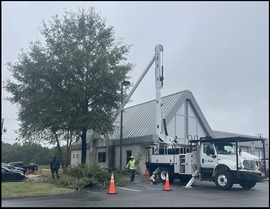 Suffolk Saluting Branches