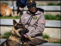 K9 Veterans Day