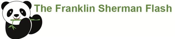 Franklin Sherman Flash banner