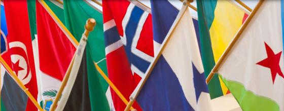 International Flags photo 