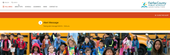 Sample Website Alert Graphic