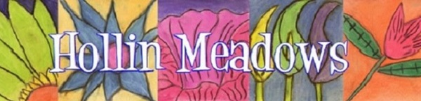 Hollin Meadows Elementary School banner